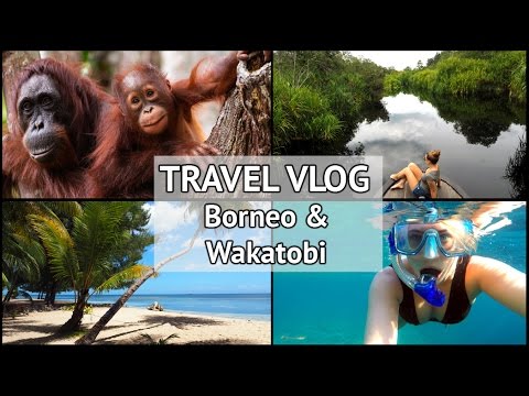  TRAVEL VLOG My Indonesia Adventure Part 1 Finding 